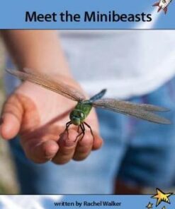 Meet the Minibeasts - Rachel Walker