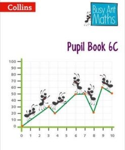 Pupil Book 6C (Busy Ant Maths) - Jeanette A. Mumford