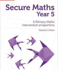Secure Year 5 Maths Teacher's Pack: A Primary Maths intervention programme (Secure Maths) - Bobbie Johns