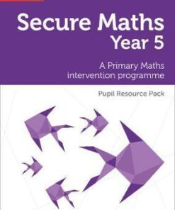 Secure Year 5 Maths Pupil Resource Pack: A Primary Maths intervention programme (Secure Maths) - Bobbie Johns