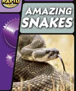 Amazing Snakes: Step 3.2 Phase 5 - John Townsend