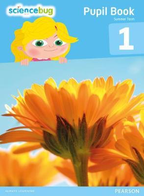 Science Bug Pupil Book Year 1 - Debbie Eccles