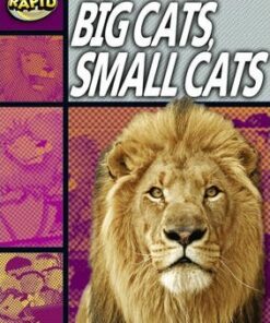 Series 1 Set A: Big Cats Small Cats - Dee Reid
