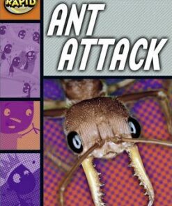 Series 1 Set B: Ant Attack - Haydn Middleton