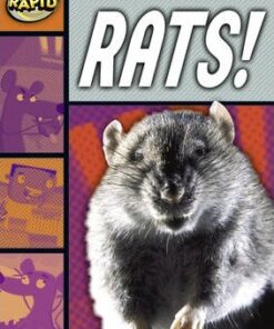 Series 1 Set B: Rats! - Haydn Middleton