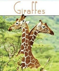 Giraffes - Jennifer Dussling