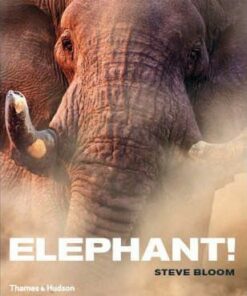 Elephant! - Steve Bloom