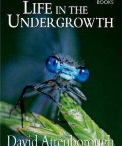 Life in the Undergrowth - David Attenborough Productions Ltd.