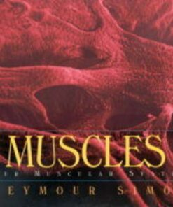 Muscles: Our Muscular System - Seymour Simon
