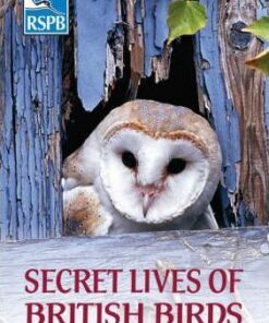 Secret Lives of British Birds - Dominic Couzens