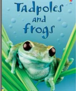 Tadpoles and Frogs - Anna Milbourne