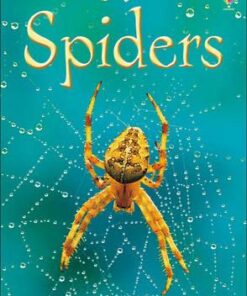 Spiders - Rebecca Gilpin