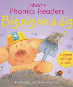 Big Pig On A Dig Phonics Reader - Phil Roxbee Cox