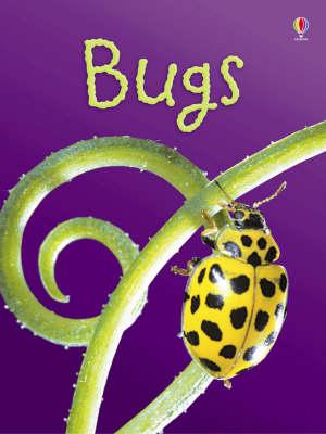 Bugs - Lucy Bowman
