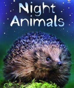 Night Animals - Sue Meredith