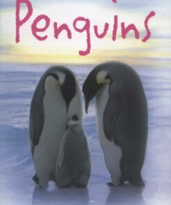Penguins - Susanna Davidson