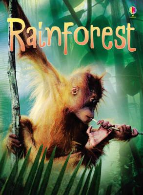 Rainforests - Catriona Clarke