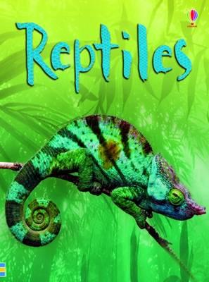 Reptiles - Catriona Clarke