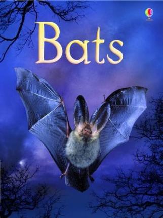 Bats - Megan Cullis