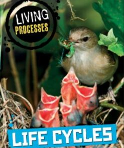 Living Processes: Life Cycles - Richard Spilsbury