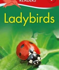 Kingfisher Readers: Ladybirds (Level 1: Beginning to Read) - Thea Feldman