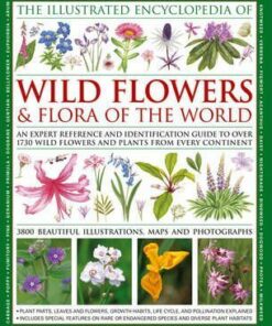 Illustrated Encyclopedia of Wild Flowers & Flora of the World - Martin Walters