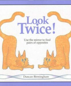 Look Twice: Use the Mirror to Find Pairs of Opposites - Duncan Birmingham