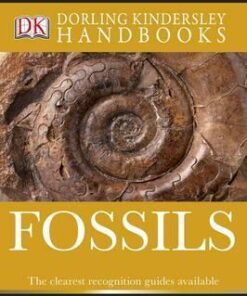 Fossils - David Ward