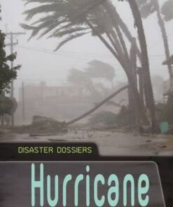 Hurricane: Perspectives on Storm Disasters - Andrew Langley