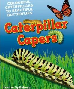 Caterpillar Capers: Age 5-6