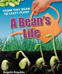 A Bean's Life: Age 6-7