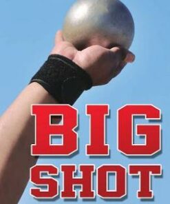 Big Shot - Sean Callery
