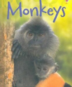 Monkeys - Lucy Bowman