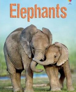 Elephants - James Maclaine