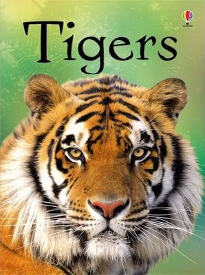 Tigers - James Maclaine