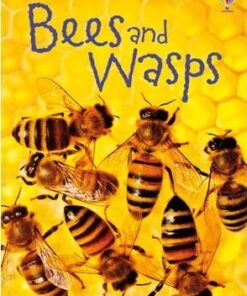 Bees and Wasps - James Maclaine