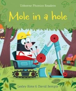 Mole in a Hole - Lesley Sims