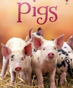 Pigs - James Maclaine