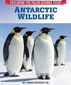 Antarctic Wildlife - James Buckley