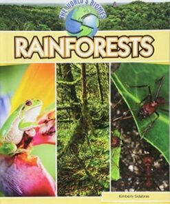 Rainforests - Kimberly Sidabras