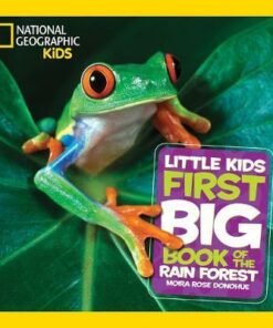 Little Kids First Big Book of the Rain Forest (First Big Book) - National Geographic Kids