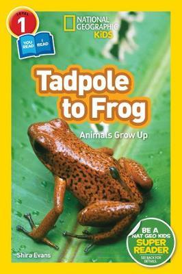 National Geographic Kids Readers: Tadpole to Frog (L1/Co-reader) (Readers) - National Geographic Kids