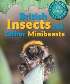 Nature in Your Neighbourhood: British Insects and other Minibeasts - Clare Collinson