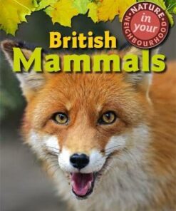 Nature in Your Neighbourhood: British Mammals - Clare Collinson