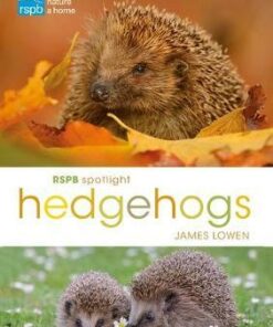 RSPB Spotlight Hedgehogs - James Lowen