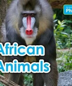 No Nonsense Phonics: Level 1: African Animals - Elizabeth Nonweiler