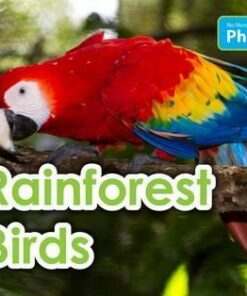 No Nonsense Phonics: Level 2: Rainforest Birds - Elizabeth Nonweiler