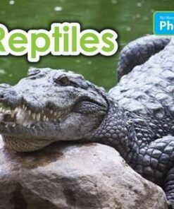 No Nonsense Phonics: Level 2: Reptiles - Elizabeth Nonweiler