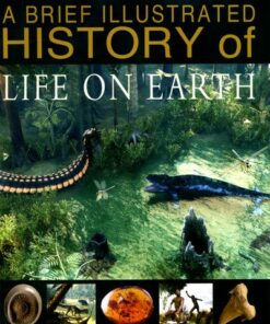 A Brief Illustrated History of Life on Earth - Steve Parker