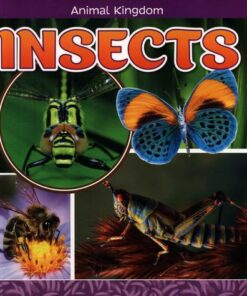 Insects - Janet Riehecky